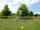 golfcup_2017_04