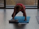 Functional Fitness