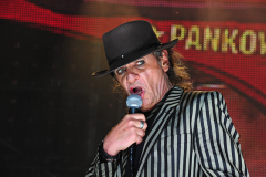 Panikpreis Finale 2014