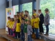 Hengstetter Goldkehlchen
