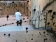 urban art show